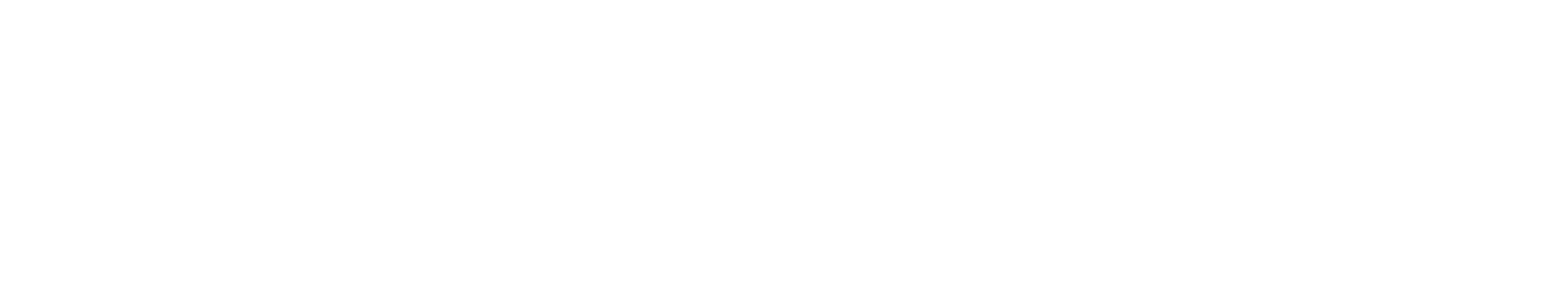 MDES Logo White