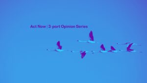 Act Now 3 - Moving Forward_Investing in Tax Administration Systems